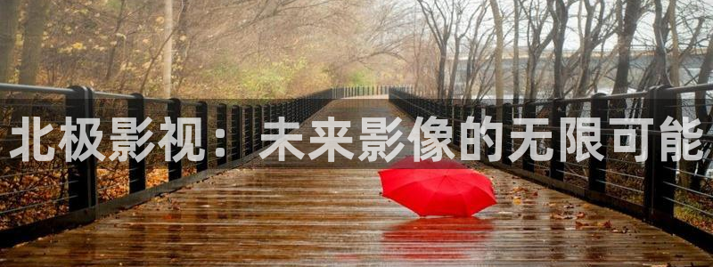 97影院超碰在线：北极影视：未来影像的无限可能