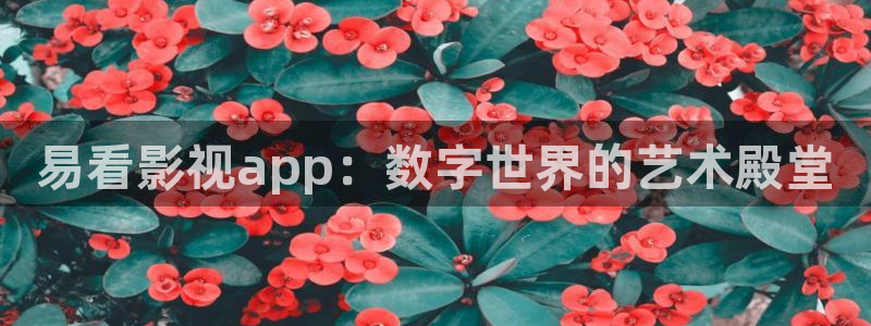 91超超碰：易看影视app：数字世界的艺术殿堂