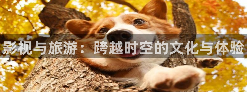 制服诱惑超碰在线：影视与旅游：跨越时空的文化与体验
