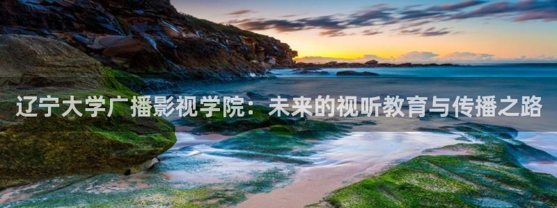 人人在超碰：辽宁大学广播影视学院：未来的视听教育与传播之路
