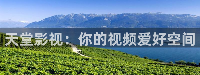 超碰蜜桃91：天堂影视：你的视频爱好空间