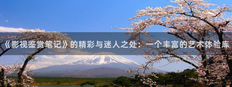 在线超碰欧美：《影视鉴赏笔记》的精彩与迷人之处：一个丰富的艺术体验库